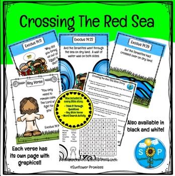 redsea stores|ABOUT US .